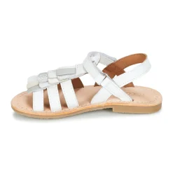 Best Aster - CORELLE Blanc