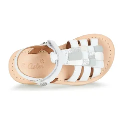 Best Aster - CORELLE Blanc