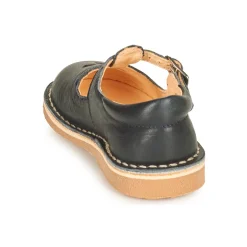 Best Aster - DINGO Marine