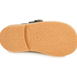 Best Aster - DINGO Marine