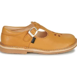 Aster - DINGO Jaune Best