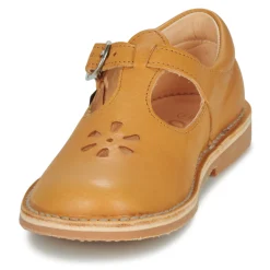 Aster - DINGO Jaune Best