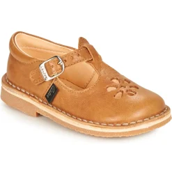 Aster - DINGO Camel Outlet