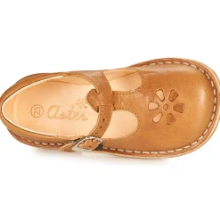 Aster - DINGO Camel Outlet