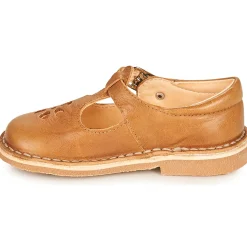 Aster - DINGO Camel New