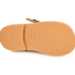 Aster - DINGO Camel New