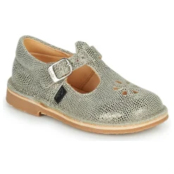 New Aster - DINGO-2 Doré