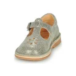 New Aster - DINGO-2 Doré