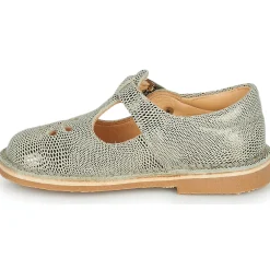 New Aster - DINGO-2 Doré