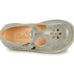 New Aster - DINGO-2 Doré