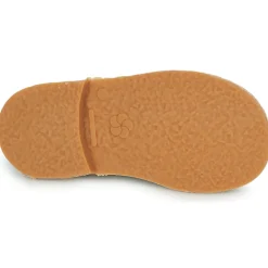 New Aster - DINGO-2 Doré