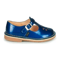 Sale Aster - DINGO Bleu