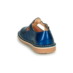 Sale Aster - DINGO Bleu