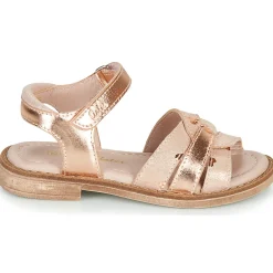 Aster - TAWA Rose Hot