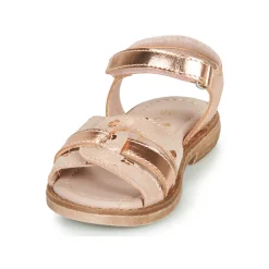 Aster - TAWA Rose Hot