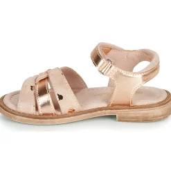 Aster - TAWA Rose Hot