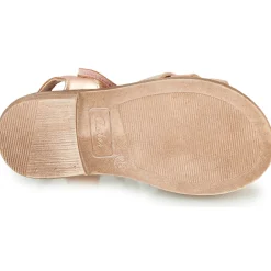 Aster - TAWA Rose Hot