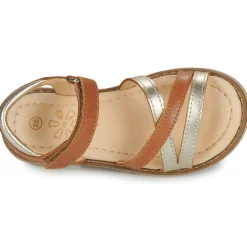 Aster - TESSIA Cognac Clearance