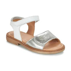 Online Aster - TRIXY Argenté