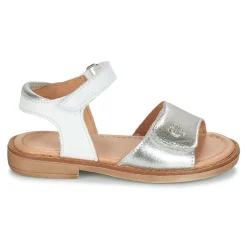 Online Aster - TRIXY Argenté