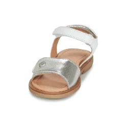 Online Aster - TRIXY Argenté