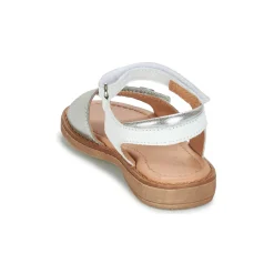 Online Aster - TRIXY Argenté