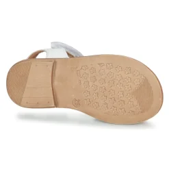 Online Aster - TRIXY Argenté