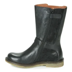 Clearance Aster - WALI Noir