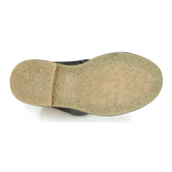 Clearance Aster - WALI Noir