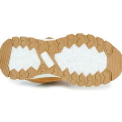 BEPPI - 2202041-CAMEL