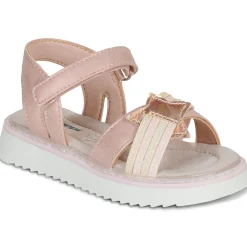 BEPPI - 2203880-ROSA Rose