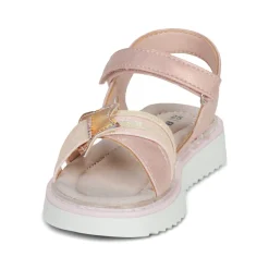 BEPPI - 2203880-ROSA Rose