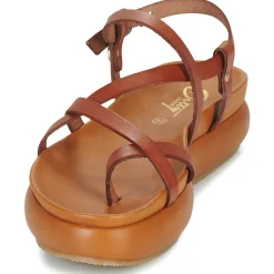 Betty London - AGNES Camel Online