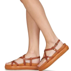 Betty London - AGNES Camel Online