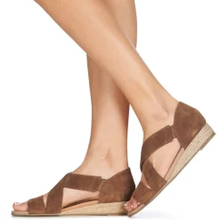 Betty London - JIKOTE Camel Online