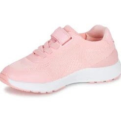 Biomecanics - BIOEVOLUTION NONSTOP