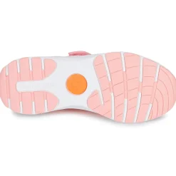 Biomecanics - BIOEVOLUTION NONSTOP