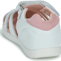 Biomecanics - BIOGATEO WIDER