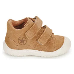 Online Bisgaard - HALE V Cognac