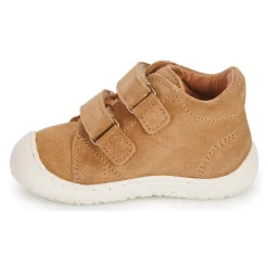 Online Bisgaard - HALE V Cognac