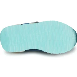 Bisgaard - STEVIE Marine