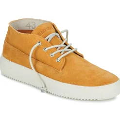 Blackstone - BG148 Camel Hot