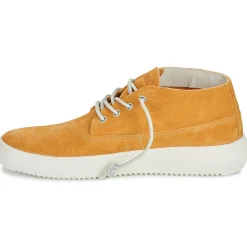 Blackstone - BG148 Camel Hot