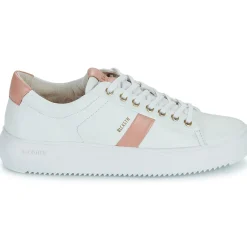 Online Blackstone - BL220