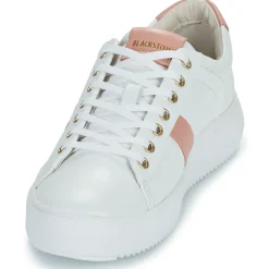 Online Blackstone - BL220