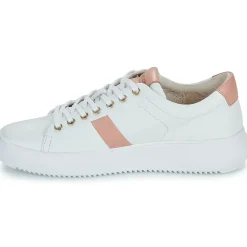 Online Blackstone - BL220