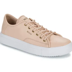 Blackstone - BL234 Rose Outlet