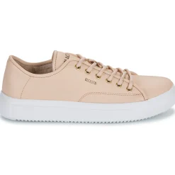 Blackstone - BL234 Rose Outlet