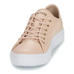 Blackstone - BL234 Rose Outlet