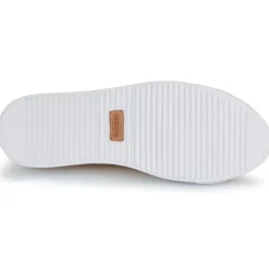 Blackstone - BL234 Rose Outlet